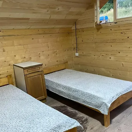 Brvnara Krin 1 *